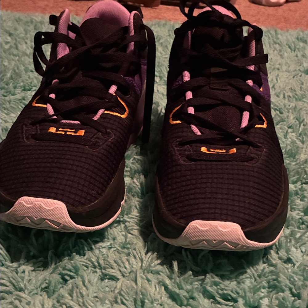 LeBron James Nike basketball shoes
